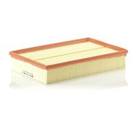 C30189 Filtro aria Mann-filter