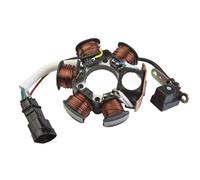 C4 Statore adattabile per Piaggio NRG MC3 DD H2O 50 2001 - 2004