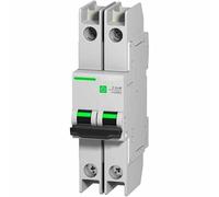 C60N interruttore automatico bipolare 2A 230V doppio polo, 2 moduli, design compatto, plastica resistente. Progettato per: proteggere circuiti elettrici. #