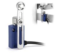 C6N-P109L2 Interruttore di Finecorsa con Cavo da 2 Metri, Microinterruttore Impermeabile Autoripristinante per Automazione Industriale, 1 NO + 1 NC, 250V 6A, IP65(C6N-P109L2)