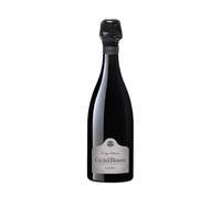 Cà Del Bosco Franciacorta Saten Vintage Collection 2019, Spumante Millesimato, Francacorta brut Metodo Classico, 12,5% vol, 750 ml
