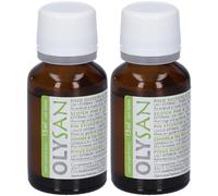 Ca-Mi Essenza Balsamica Pino Olio Essenziale 2x15 ml