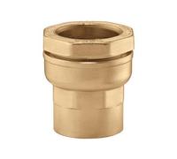 Ca Raccordo IG 25 MM X 1 " IG per Pe-Kunststoffrohr