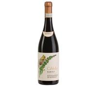Ca' Viola Sottocastello di Novello Barolo Riserva DOCG 2019 0,75 l