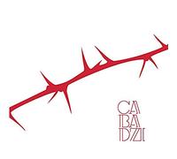 CABADZI - DES ANGLES ET DES EPINES