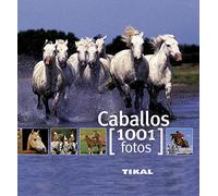 Caballos/ Horses