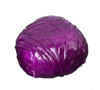 Cabbage Food Replica per presentazioni di progettazione concettuale, visualizzazione architettonica e pianificazione del layout di vendita al dettaglio (B)