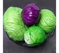 Cabbage Food Replica per presentazioni di progettazione concettuale, visualizzazione architettonica e pianificazione del layout di vendita al dettaglio (D)