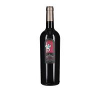 Cabernet Sauvignon 'Oltresogno' Campo alle Comete 2024