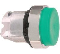 CABEZA PULS SAL VERDE