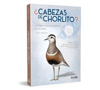 Cabezas de chorlito. Inteligencia e innovación en las aves