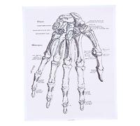 Cabilock 1 Pz Disegni anatomici stampe murali di anatomia umana anatomico anatomia e fisiologia mano opere d'arte anatomiche diagramma poster opere d'arte medica tela in fibra chimica