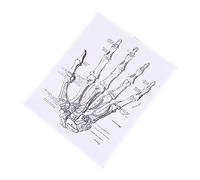 Cabilock 1 Pz Disegni anatomici umano corpo poster anatomia e fisiologia stampe murali di anatomia umana opere d'arte medica Dipinti di anatomia umana dipinto a parete tela in fibra chimica