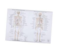 Cabilock 1pezzi Poster Anatomia Umana Diagramma Muscoli Scheletro Scientifico Insegnamento Scuola Laboratorio Pittura Dissezione Utile