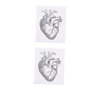 Cabilock 2 Pezzi Diagramma di anatomia cardiaca anatomico Grafico anatomia di organo cuore corpo a forma di ciondolo decorativo per organo umano grafico dell'insegnamento anatomia cardiaco