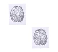 Cabilock 2 Pezzi Disegni anatomici colorato anatomia cervello vene struttura poster umano manifesto murale pittura anatomica manifesto scientifico manifesto anatomico tela in fibra chimica