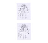 Cabilock 2 Pezzi Disegni anatomici opere d'arte di anatomia umana insegnamento dell'anatomia diagramma anatomico poster di anatomia da parete manifesto del corpo umano tela in fibra chimica