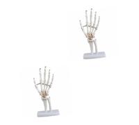 Cabilock 2 Pezzi Modello osseo a mano modello educativo dello studio medico forcina a mano scheletrica attrezzi modello di articolazione della mano umana strumento educativo per i medici