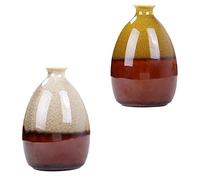 Cabilock 2pezzi Vaso in Ceramica Idroponico Vaso Da Tavolo Unico Contenitore Per Fiori e Piante Decorativo in Miniatura