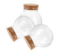 Cabilock 3 pezzi Micro Landscape Ecological Bottle con Vetro Trasparente e Tappo Sughero Barattoli Sigillati per Moss Crafts e Terrari Contenitori Decorativi Compatti per Casa e Feste