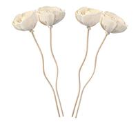 Cabilock 4 Pz Rattan per aromaterapia diffusori per aromaterapia portatile automatico legnetti decorativi aroma diffuser diffusori di aromi decorativi diffusori di fiori secchi di legno