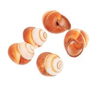 Cabilock 5pezzi Gusci per Escargot Naturali Accessori Sicuri per Cucina per Ristoranti e Preparazioni Gourmet