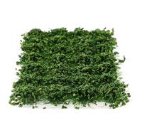 Cabilock Cluster di Erba Finta in Nylon per Modellismo Statico, Decorazione Fai da Te per Micro Paesaggi Militari e Scenari di Gioco, Erba Artificiale Verde Scuro per Tavoli di Sabbia