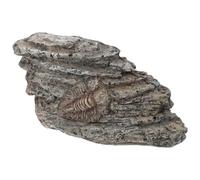 Cabilock Decorazione fossile trilobita ornamento del campione di trilobite paleontologia decorazione trilobita ornamento paleontologico di trilobiti trilobite per arredamento resina