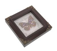 Cabilock Frame Di Foto Del Campione Di Farfalla Big Purple Decorazioni Conservato Campione Di Farfalle Cornice Farfalle Realistiche Insetti Incorniciati Arredamento a Farfalla Di Legno
