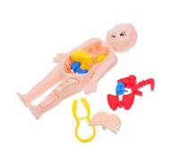 Cabilock Giocattolo Modello Anatomico Torace Umano Per Bambini, Kit Fai Da Te Con Organi Smontabili, Strumento Educativo Per Apprendimento Interattivo e Studio Muscolare e Fisiologia Umana
