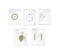 Cabilock Kit di 5 Set di Limatura di Ferro per Esperimenti Scientifici con Plastico, Dispositivo Dimostrativo Elettrostatico per Progetti di Scienze Studenteschi e Laboratori