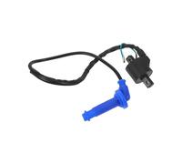 Cabilock Kit Sostituzione Accensione Compatibile con Motori Installazione Facile e Precisione Perfetta per Veicoli Automobilistici