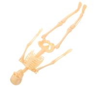 Cabilock Modello Di Scheletro Cranio Corpo Ossa Modello Scheletro Simulato Modello Corpo Umano Scheletro Per Studio Anatomico Simulazione Modello Osseo Anatomia Scheletro Prop