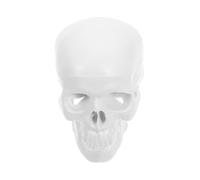 Cabilock Modello di testa simulato insegnamento del modello di cranio modello di anatomia del cranio strumenti di di anatomia e fisiologia umano anatomico lega bianca