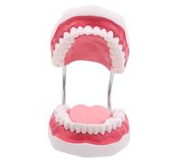 Cabilock Modello didattico orale modelli denti typodont modello del dente bocca finta insegnamento educativi