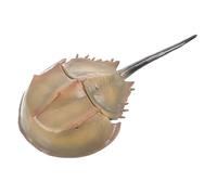 Cabilock Realistic Limuloid Sea Animal Decoration For Aquarium Display And Home Decor