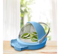 Cabina di osservazione per l'allevamento del baco da seta, gabbia