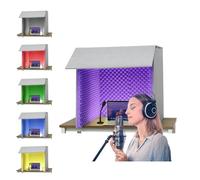 Cabina insonorizzata portatile, scudo di isolamento da scrivania per microfono, scudo assorbente vocale per registrazione audio da studio