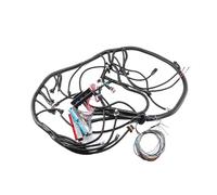 Cablaggio autonomo 1997-2006 LS1 4L60E DBC compatibile con motore Vortec 4.8L 5.3L 6.0L Drive By Cable LS Swap