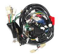 Cablaggio Bardatura Montaggio Eroe Maestro 110 Cc Es 2010 Modello 16 A Presa ECS