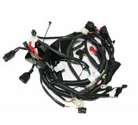 Cablaggio Bardatura Per Reale Enfield Pallottola Classico 500 Efi E/S 2012