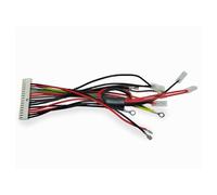 Cablaggio Centrale ROBUS RB1000 Ricambio Originale NICE CA1882R01.5320