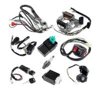 Cablaggio completo dello statore, bobina di accensione CDI, set di bobine solenoidi per ATV, quad elettrico,