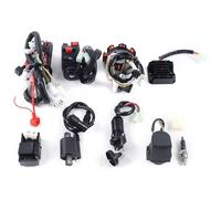 Cablaggio Completo per ATV Quad 125-250cc, Cablaggio Elettrico, Sistema di Accensione Cdi con Bobina, Kit di Cablaggio per Quasi Tutti I Motori Automatici Cinesi A 4 Tempi