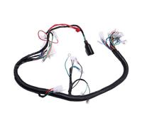 Cablaggio completo per cavi per motociclette, gruppo completo per veicoli ATV Sco