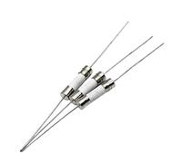 Cablaggio di protezione 10 PZ 5 * 20mm Fusibile in ceramica a rottura rapida Fusibile lento con un perno 5x20mm 250V 0.5A 1A 2A 3A 4A 5A 6A 7A 8A 10A 12A 15A 20A 25A (Color : 2.5, Size : Slow T)