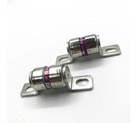 Cablaggio di protezione 10 PZ/LOTTO Fusibile Ceramico RGS11 10A 16A 20A 25A 30A 32A 35A 40A 50A 63A 75A 80A 100A 125A 150A 160A 250V (Size : 100A)