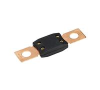 Cablaggio di protezione 100PCS Fusibile ANL Fusibile for auto Fusibile imbullonato Colpo un fusibile Fusibile a lama 40A 50A 60A 80A 100A 125A 175A 150A 200A 250A 300A 400A (Size : 350A)