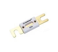 Cablaggio di protezione 30A 40A 50A 60A 70A 80A100A 125A 150A 175A 200A 225A 250A 275A 300A 350A 400A 450A 500A 80V Fusibile a lama for auto (Color : 150a, Size : ANL-C)