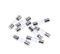 Cablaggio di protezione Fusibile 10 pz/lotto 5 * 20mm 6 * 30mm Flink Fusibili Tubo di Vetro 5x20 6x30mm 25 0V 0.5 1 2 3 4 5 6 8 10 15 20 25 30 un Fusibile AMP (Color : 5x20, Size : 20A)